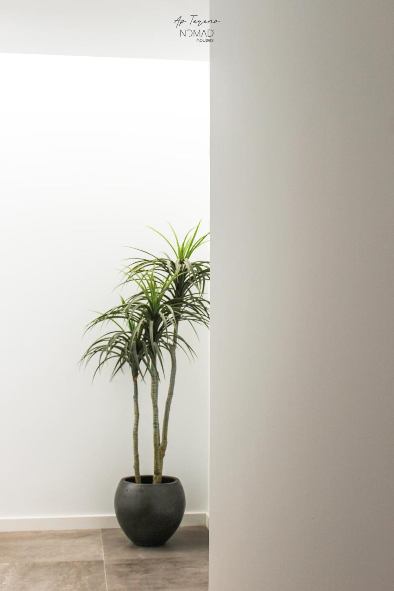 Nomad - Ap Tereno Apartment
